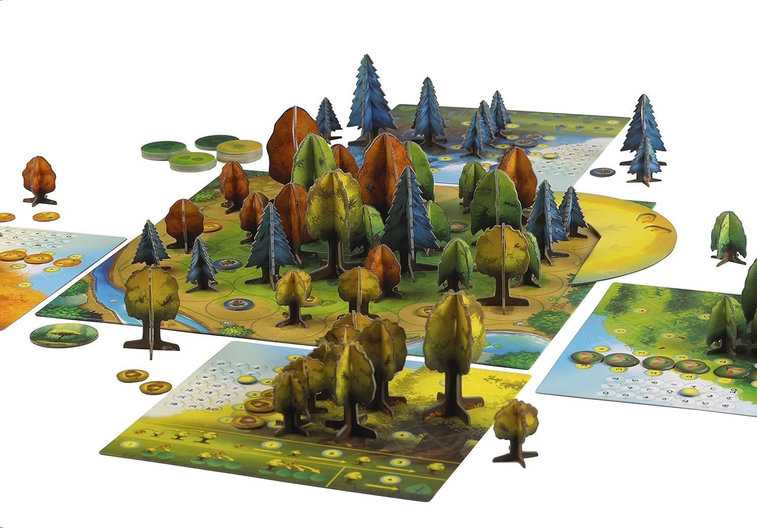 Photosynthesis Board Game Review